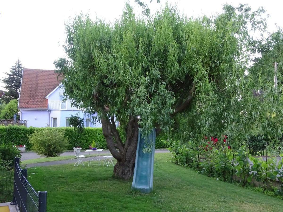 Tiny-House Villa Wihr-au-Val Dış mekan fotoğraf